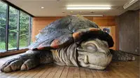 実物大ガメラ(トト)