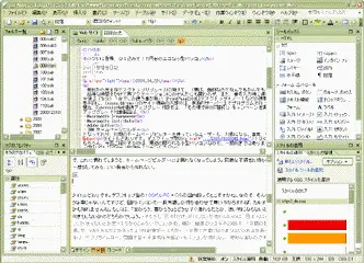 ExpressionWeb