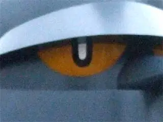 実物大鉄人28号の目のアップ