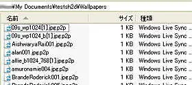 最初にMyコンピューターのフォルダに現れるのはp2p拡張子のリスト