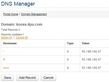 DNS Maanagerの画面。ワイルドカードも指定できる
